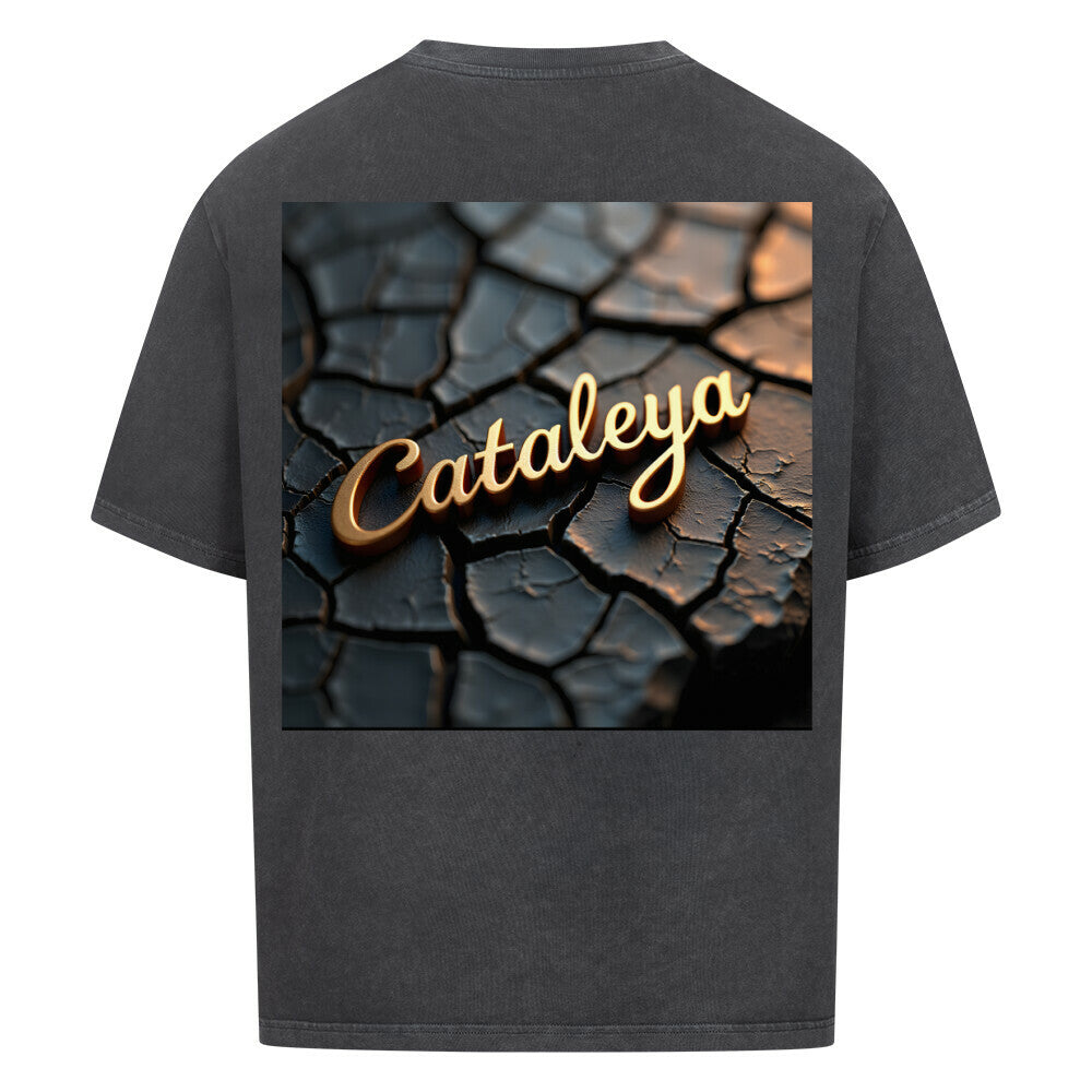 c870c12f-7f76-4841-93bd-fd3542ef6a66