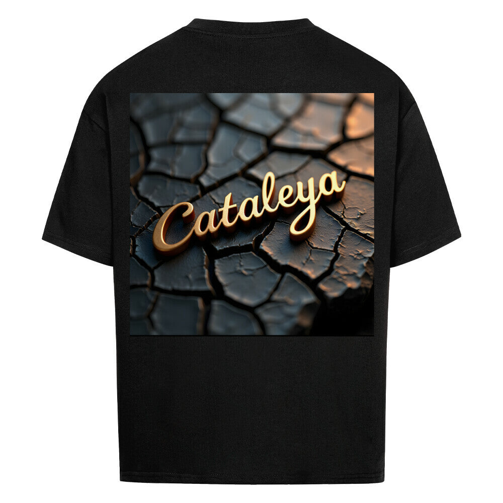 2af16a34-157e-4bba-af1e-64646c200b1d